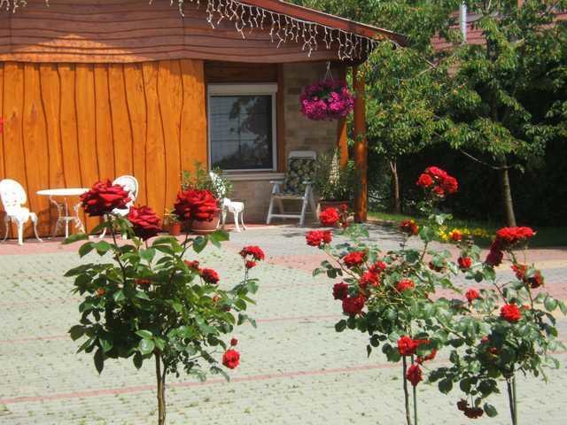 Angela Panzio Bed & Breakfast Berettyóújfalu Eksteriør bilde