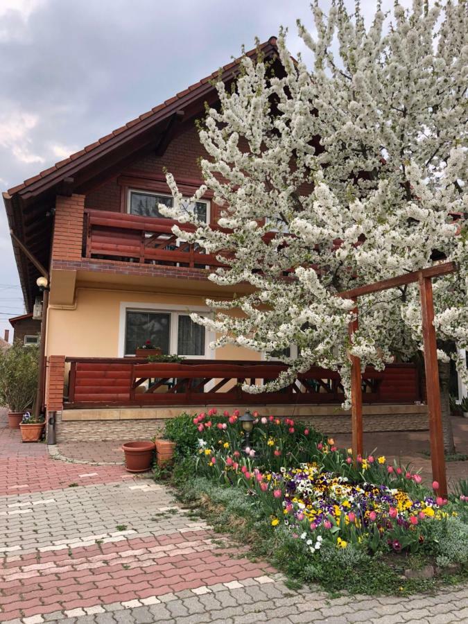 Angela Panzio Bed & Breakfast Berettyóújfalu Eksteriør bilde